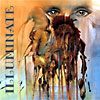 Illuminate - 2004 Augenblicke