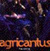 Agricantus - 1996 Tuareg