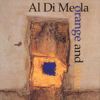Al Dimeola - 1994 orange_and_blue