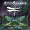Amethystium - 2001 Odonata