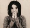 Bjork - Debut 1993