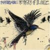 Camouflage - 1989 Methods of Silence