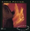 Chris Potter - 1993 Concentric Circles