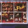 David Gray - 1994 Flesh