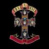 Guns N Roses - 1987 Appetite for Destruction