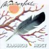 Калинов мост - 1997 Мелодии голых ветвей (концертные записи 1986-1991)