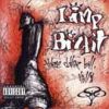 Limp Bizkit - 1997 Three Dollar Bill, Y'all